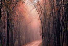 开云体育：CBA常规赛山西男篮天津男篮.