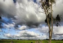 创造良好竞争条件 中国协拟申办三项亚洲青年大赛.