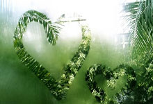 开云体育:破案了!徐杰低迷原因找到,2处出现伤病,令人担忧.