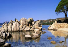 王钰栋：队里大哥们对我们很好，来的第一天就加了韦世豪微信.